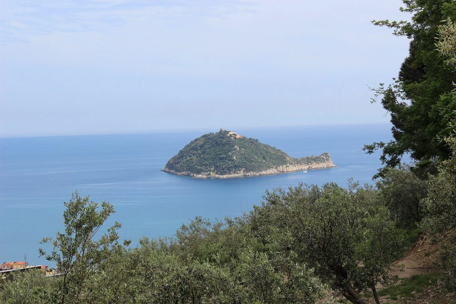 L'Isola Gallinara vista dall'alto tra gli ulivi, con la torre sulla sommità e il mare azzurro intorno